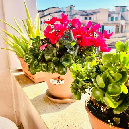 Penzion Green Guesthouse *